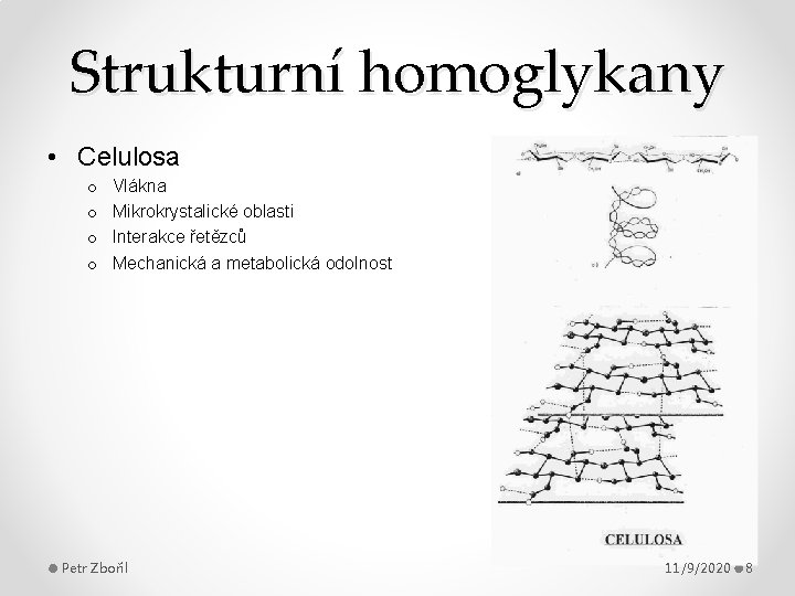 Strukturní homoglykany • Celulosa o o Vlákna Mikrokrystalické oblasti Interakce řetězců Mechanická a metabolická