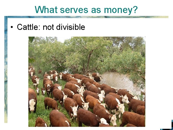 What serves as money? • Cattle: not divisible 