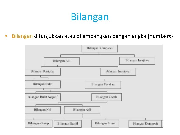 Bilangan • Bilangan ditunjukkan atau dilambangkan dengan angka (numbers) 