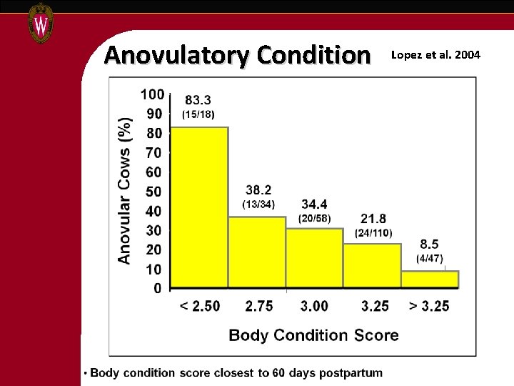 Anovulatory Condition Lopez et al. 2004 