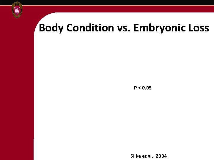 Body Condition vs. Embryonic Loss N=250 P < 0. 05 N=147 N=103 Silke et