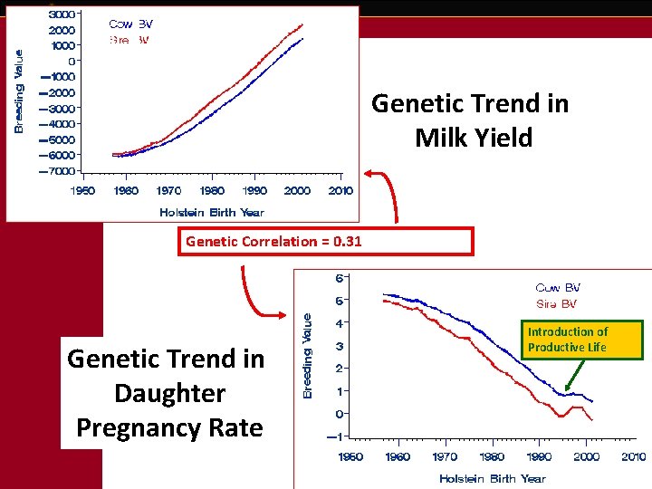 Genetic Trend in Milk Yield Genetic Correlation = 0. 31 Genetic Trend in Daughter