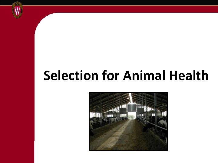 Selection for Animal Health 