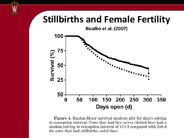 Stillbirths and Female Fertility Bicalho et al. (2007) 