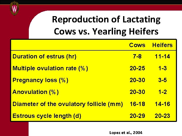 Reproduction of Lactating Cows vs. Yearling Heifers Cows Heifers 7 -8 11 -14 Multiple
