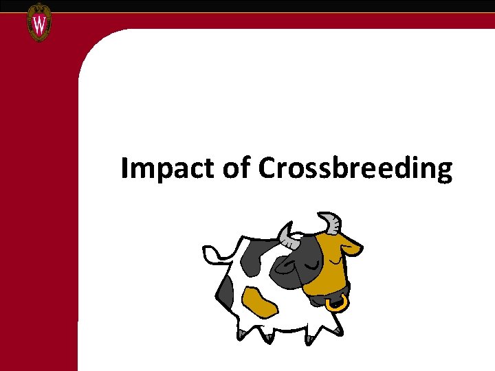 Impact of Crossbreeding 