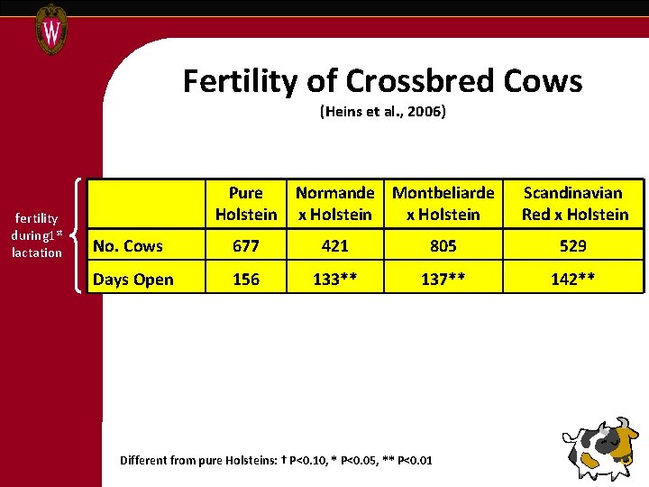 Fertility of Crossbred Cows (Heins et al. , 2006) fertility during 1 st lactation