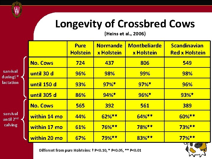 Longevity of Crossbred Cows (Heins et al. , 2006) Pure Holstein survival during 1