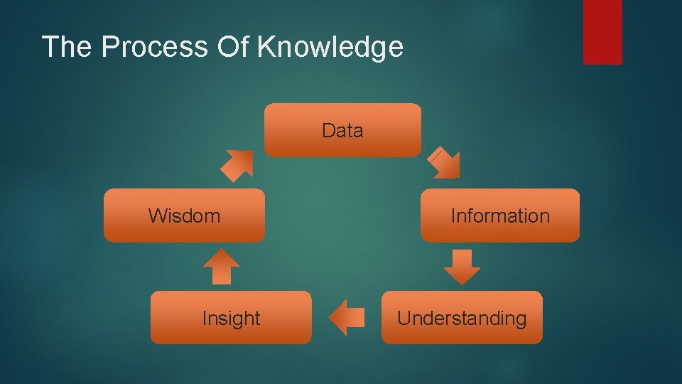 The Process Of Knowledge Data Wisdom Insight Information Understanding 