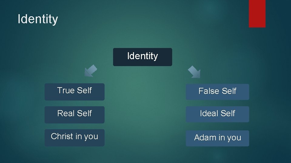 Identity True Self False Self Real Self Ideal Self Christ in you Adam in