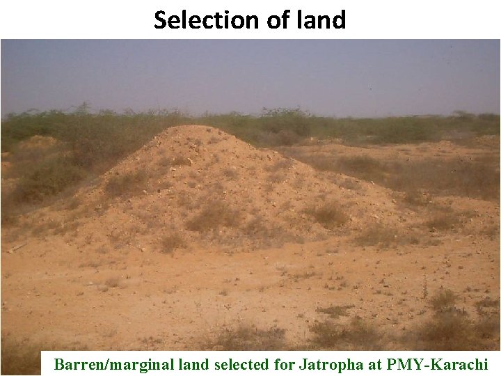 Selection of land B Barren/marginal land selected for Jatropha at PMY-Karachi Pakistan State Oil