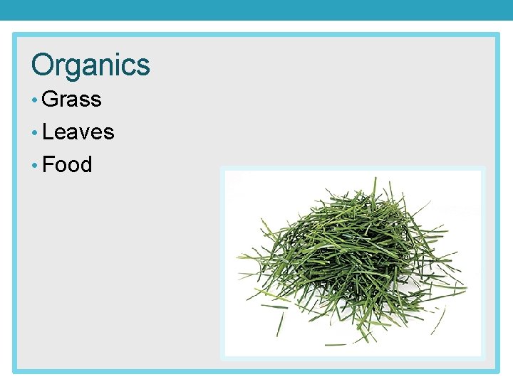 Organics • Grass • Leaves • Food 