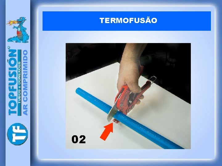 TERMOFUSÃO 02 