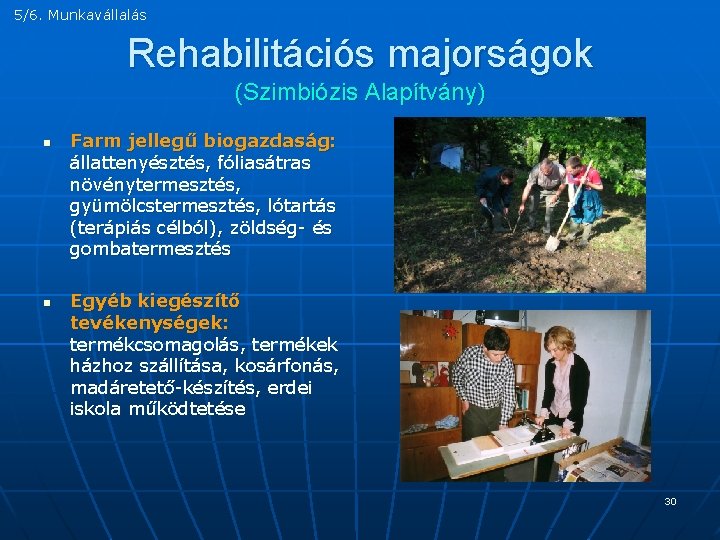 5/6. Munkavállalás Rehabilitációs majorságok (Szimbiózis Alapítvány) n n Farm jellegű biogazdaság: állattenyésztés, fóliasátras növénytermesztés,