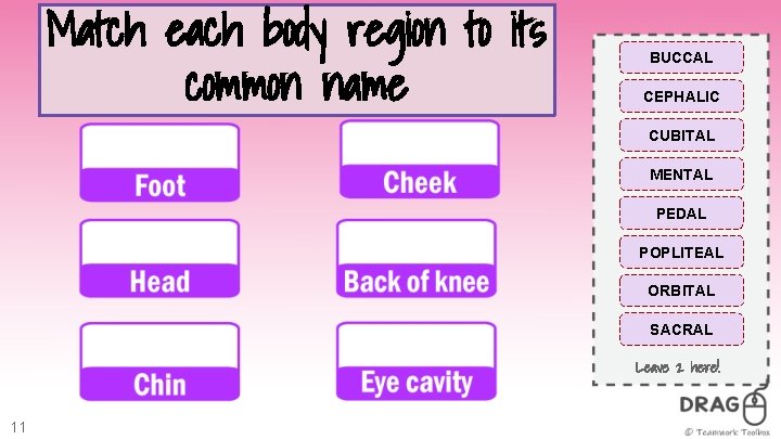 Match each body region to its common name BUCCAL CEPHALIC CUBITAL MENTAL PEDAL POPLITEAL