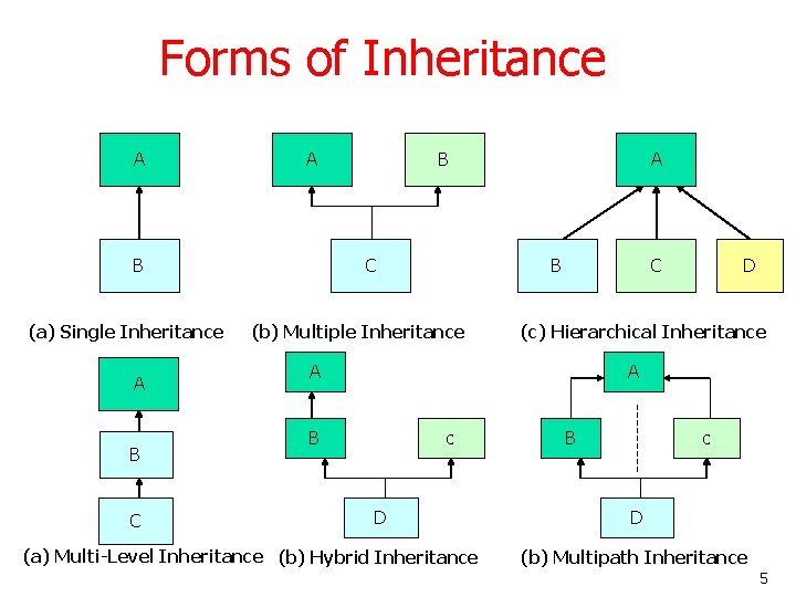 Forms of Inheritance A A B (a) Single Inheritance A B C A B