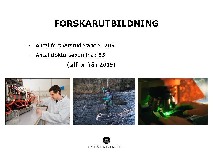 FORSKARUTBILDNING • Antal forskarstuderande: 209 • Antal doktorsexamina: 35 (siffror från 2019) 