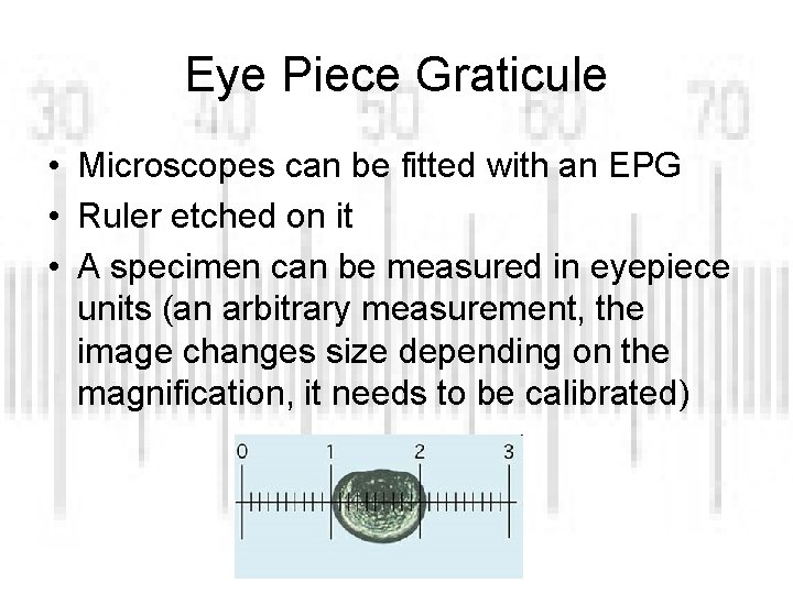 Eye Piece Graticule • Microscopes can be fitted with an EPG • Ruler etched