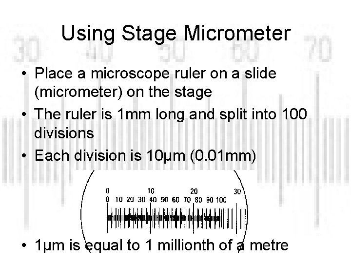 Using Stage Micrometer • Place a microscope ruler on a slide (micrometer) on the