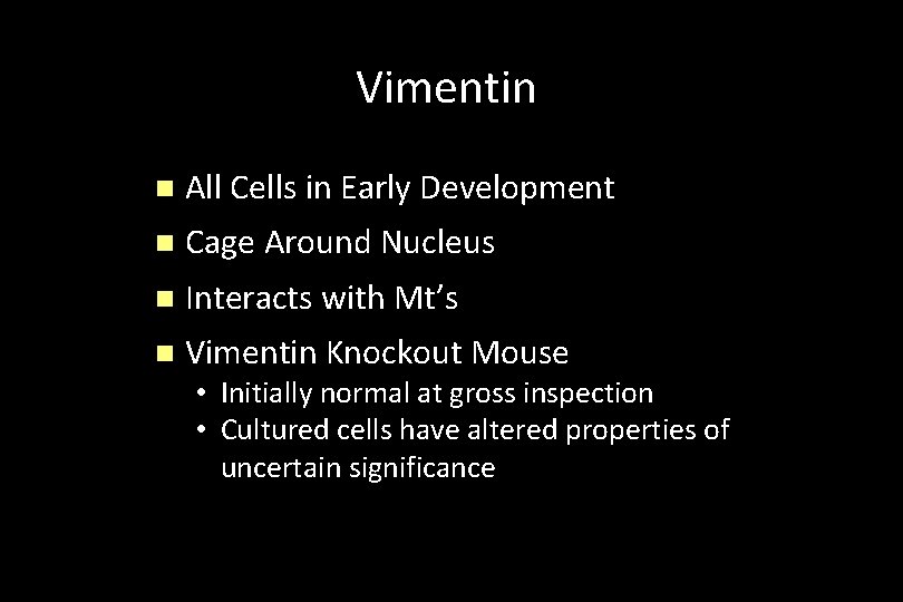 Vimentin n All Cells in Early Development n Cage Around Nucleus n Interacts with