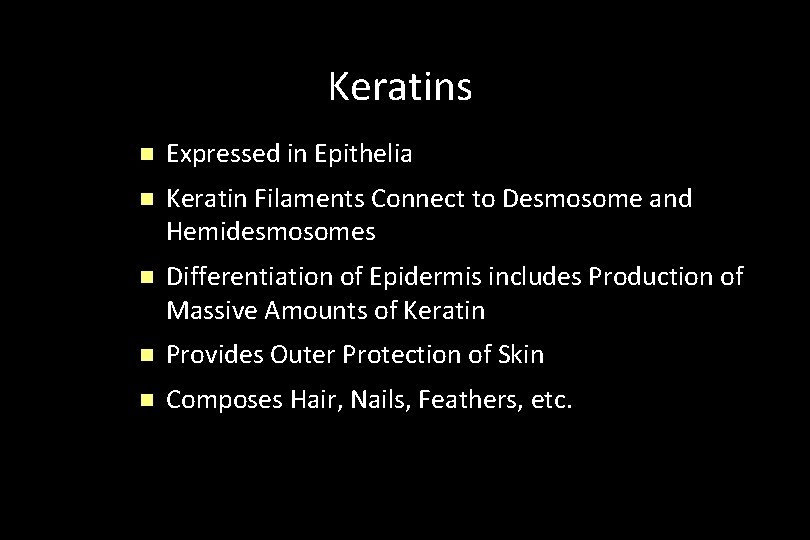Keratins n Expressed in Epithelia n Keratin Filaments Connect to Desmosome and Hemidesmosomes n