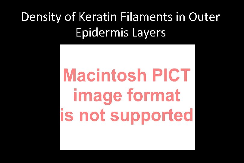 Density of Keratin Filaments in Outer Epidermis Layers 