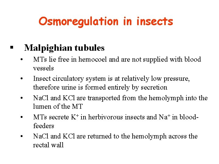 Osmoregulation in insects § Malpighian tubules • • • MTs lie free in hemocoel
