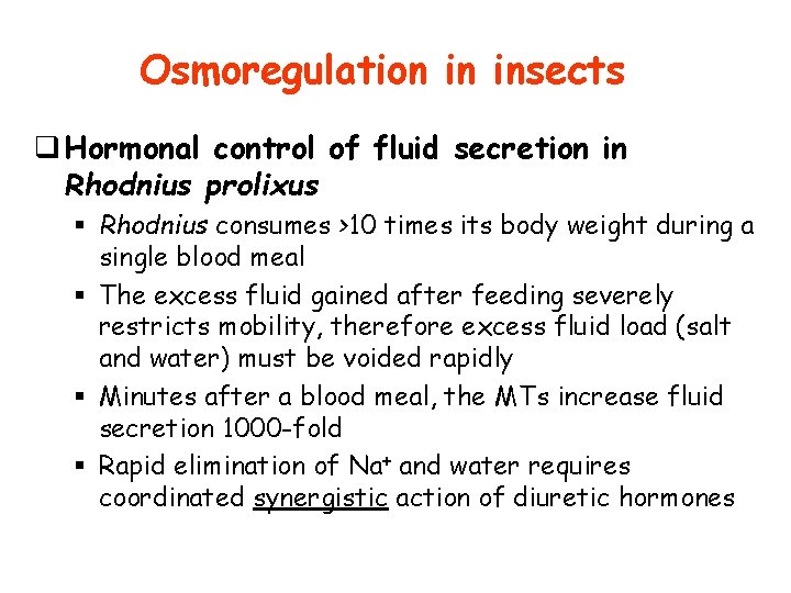 Osmoregulation in insects q Hormonal control of fluid secretion in Rhodnius prolixus § Rhodnius