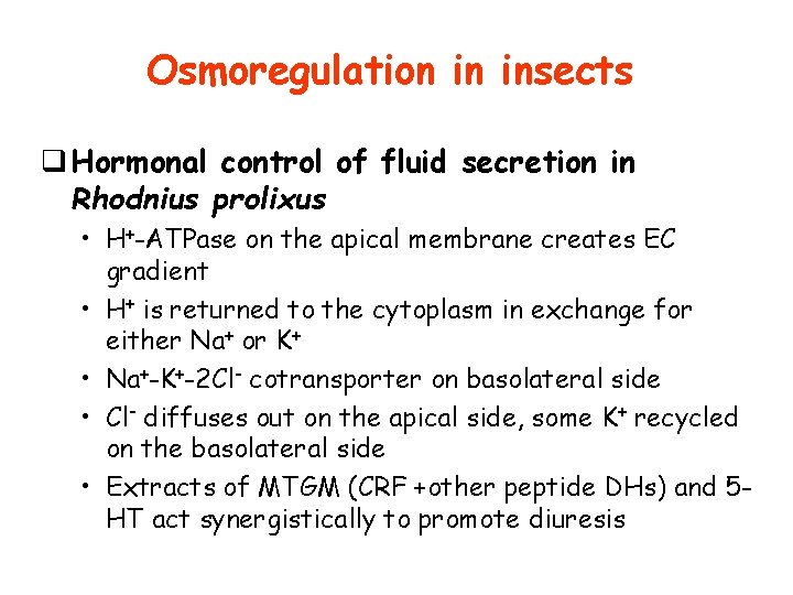 Osmoregulation in insects q Hormonal control of fluid secretion in Rhodnius prolixus • H+-ATPase