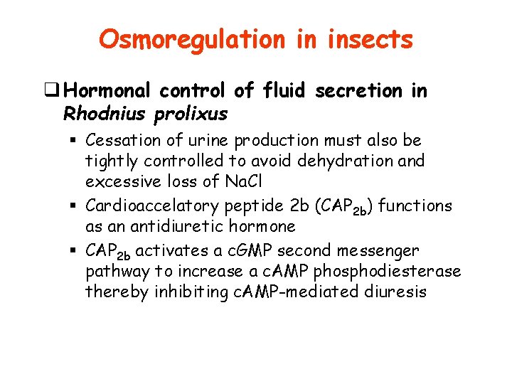 Osmoregulation in insects q Hormonal control of fluid secretion in Rhodnius prolixus § Cessation