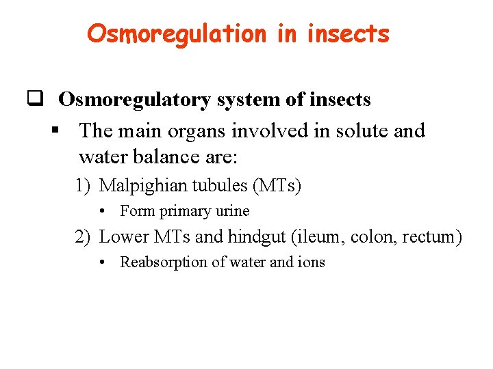 Osmoregulation in insects q Osmoregulatory system of insects § The main organs involved in