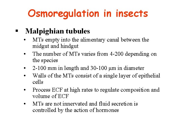 Osmoregulation in insects § Malpighian tubules • • • MTs empty into the alimentary