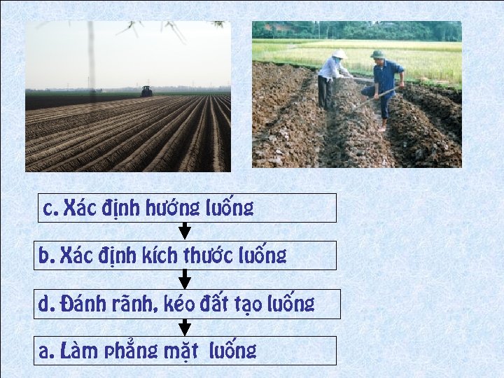 c. Xaùc ñònh höôùng luoáng b. Xaùc ñònh kích thöôùc luoáng d. Ñaùnh raõnh,