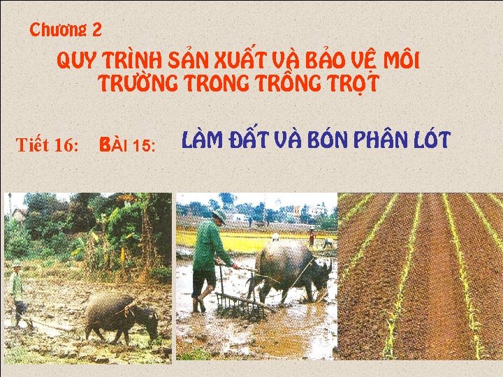 Chöông 2 QUY TRÌNH SAÛN XUAÁT VAØ BAÛO VEÄ MO I TRÖÔØNG TROÀNG TROÏT