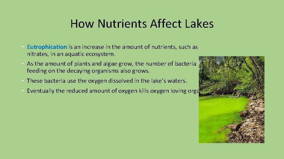 How Nutrients Affect Lakes • Eutrophication is an increase in the amount of nutrients,
