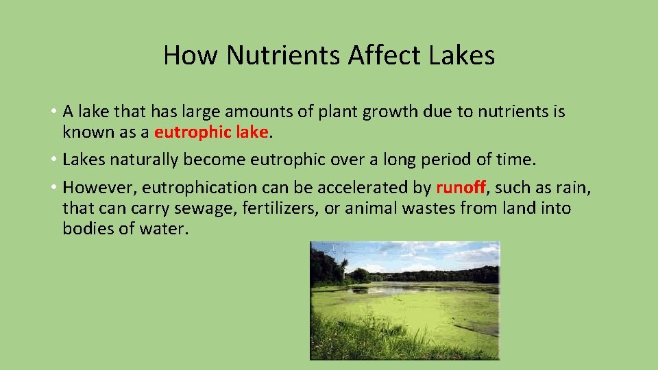 How Nutrients Affect Lakes • A lake that has large amounts of plant growth How Nutrients Affect Lakes • A lake that has large amounts of plant growth