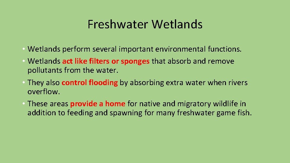 Freshwater Wetlands • Wetlands perform several important environmental functions. • Wetlands act like filters Freshwater Wetlands • Wetlands perform several important environmental functions. • Wetlands act like filters