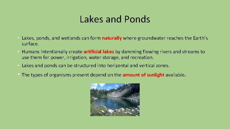 Lakes and Ponds • Lakes, ponds, and wetlands can form naturally where groundwater reaches
