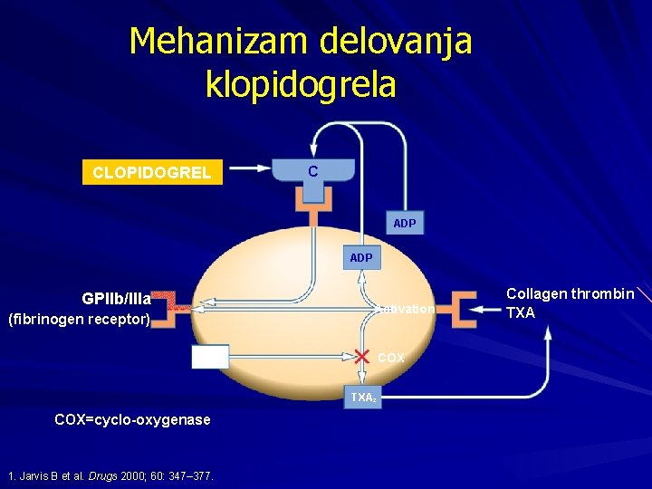 Mehanizam delovanja klopidogrela CLOPIDOGREL C ADP GPllb/llla Activation (fibrinogen receptor) ASA COX TXA 2