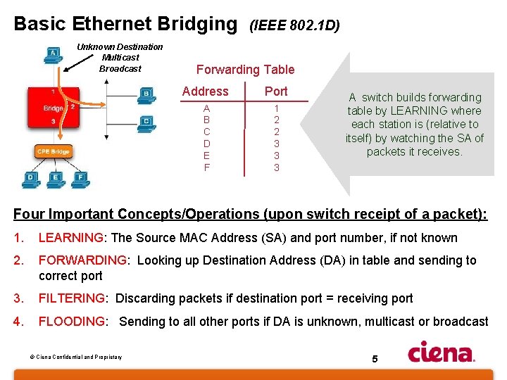 Basic Ethernet Bridging (IEEE 802. 1 D) Unknown Destination Multicast Broadcast Forwarding Table Address