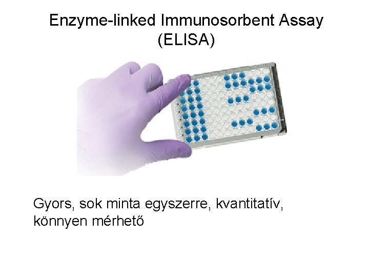 Enzyme-linked Immunosorbent Assay (ELISA) Gyors, sok minta egyszerre, kvantitatív, könnyen mérhető 