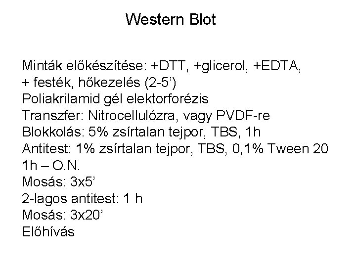 Western Blot Minták előkészítése: +DTT, +glicerol, +EDTA, + festék, hőkezelés (2 -5’) Poliakrilamid gél