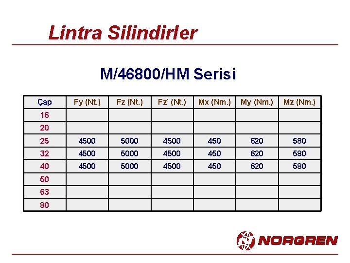 Lintra Silindirler M/46800/HM Serisi Çap Fy (Nt. ) Fz’ (Nt. ) Mx (Nm. )