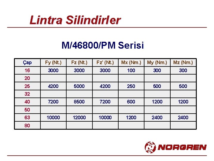Lintra Silindirler M/46800/PM Serisi Çap Fy (Nt. ) Fz’ (Nt. ) Mx (Nm. )