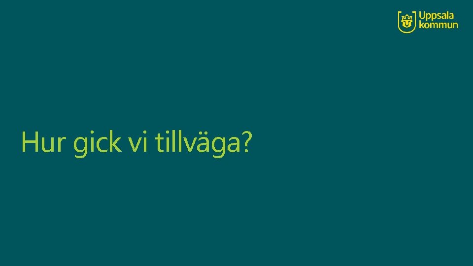 Hur gick vi tillväga? 