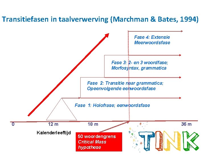Transitiefasen in taalverwerving (Marchman & Bates, 1994) Fase 4: Extensie Meerwoordsfase Fase 3: 2
