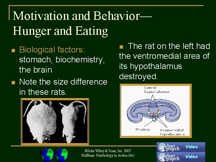 Motivation and Behavior— Hunger and Eating n n Biological factors: stomach, biochemistry, the brain