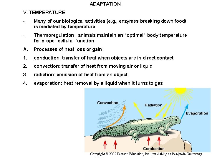 ADAPTATION V. TEMPERATURE - Many of our biological activities (e. g. , enzymes breaking