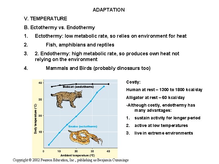 ADAPTATION V. TEMPERATURE B. Ectothermy vs. Endothermy 1. 2. 3. 4. Ectothermy: low metabolic