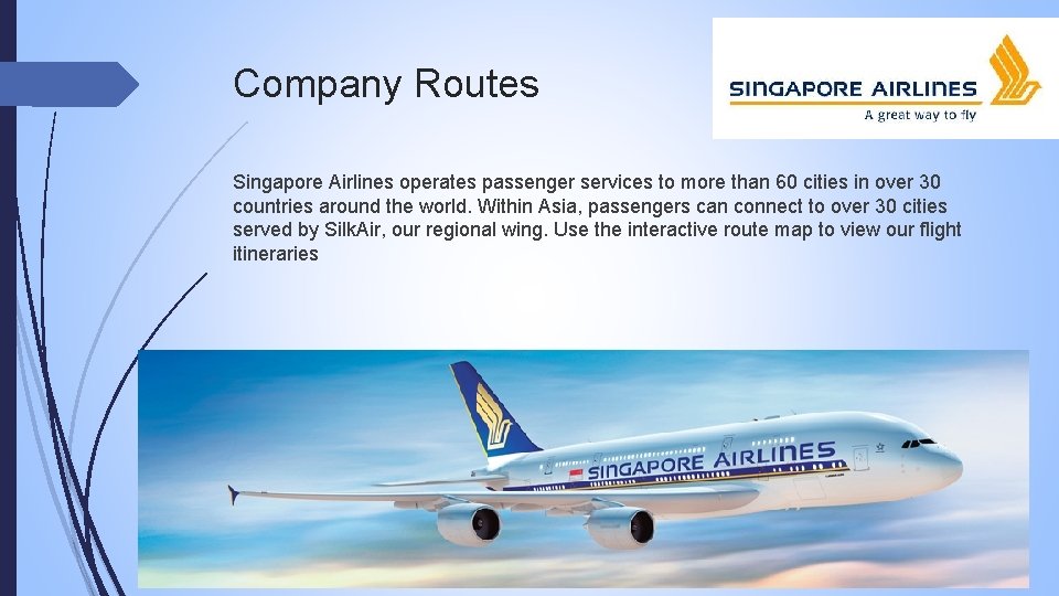 Company Routes Singapore Airlines operates passenger services to more than 60 cities in over